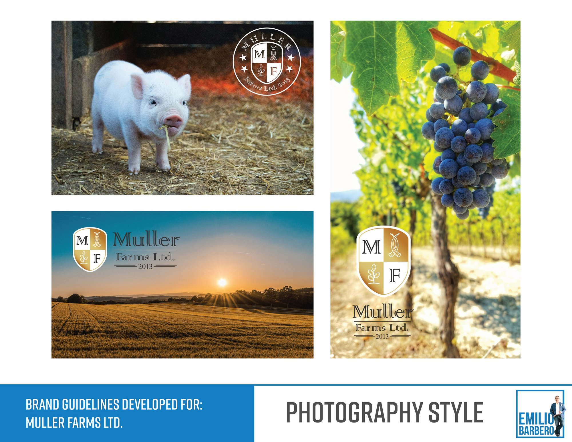 Farm Logo Design